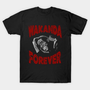 RIP CHADWICK BOSEMAN FOREVER T-Shirt